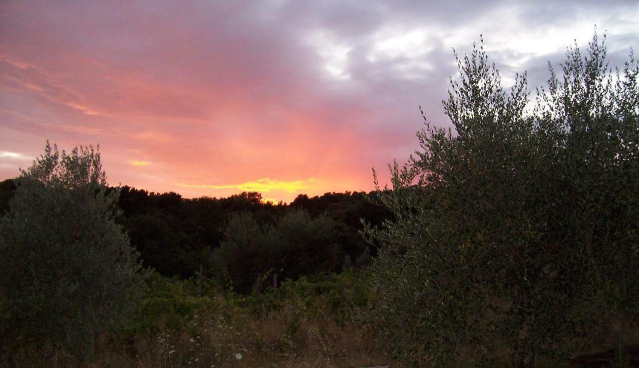 Arnaio Al Giglio Βίλα Roccastrada Εξωτερικό φωτογραφία