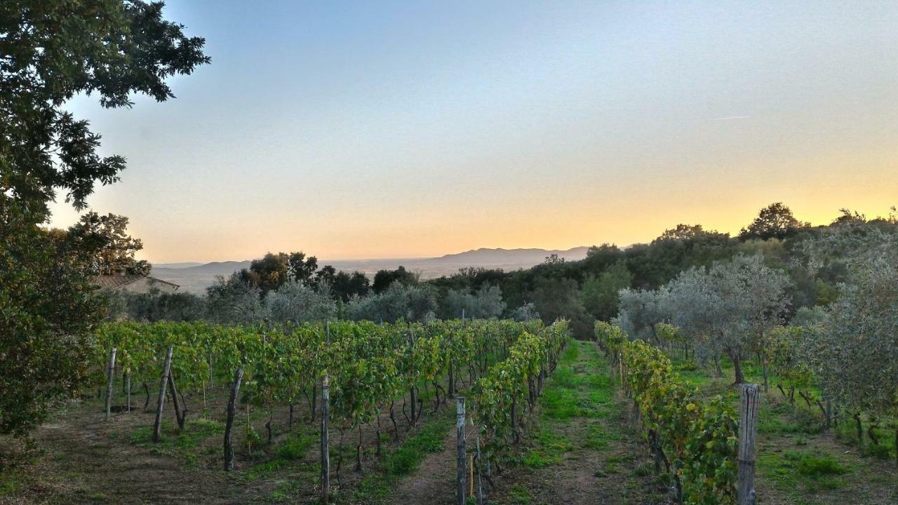 Arnaio Al Giglio Βίλα Roccastrada Εξωτερικό φωτογραφία