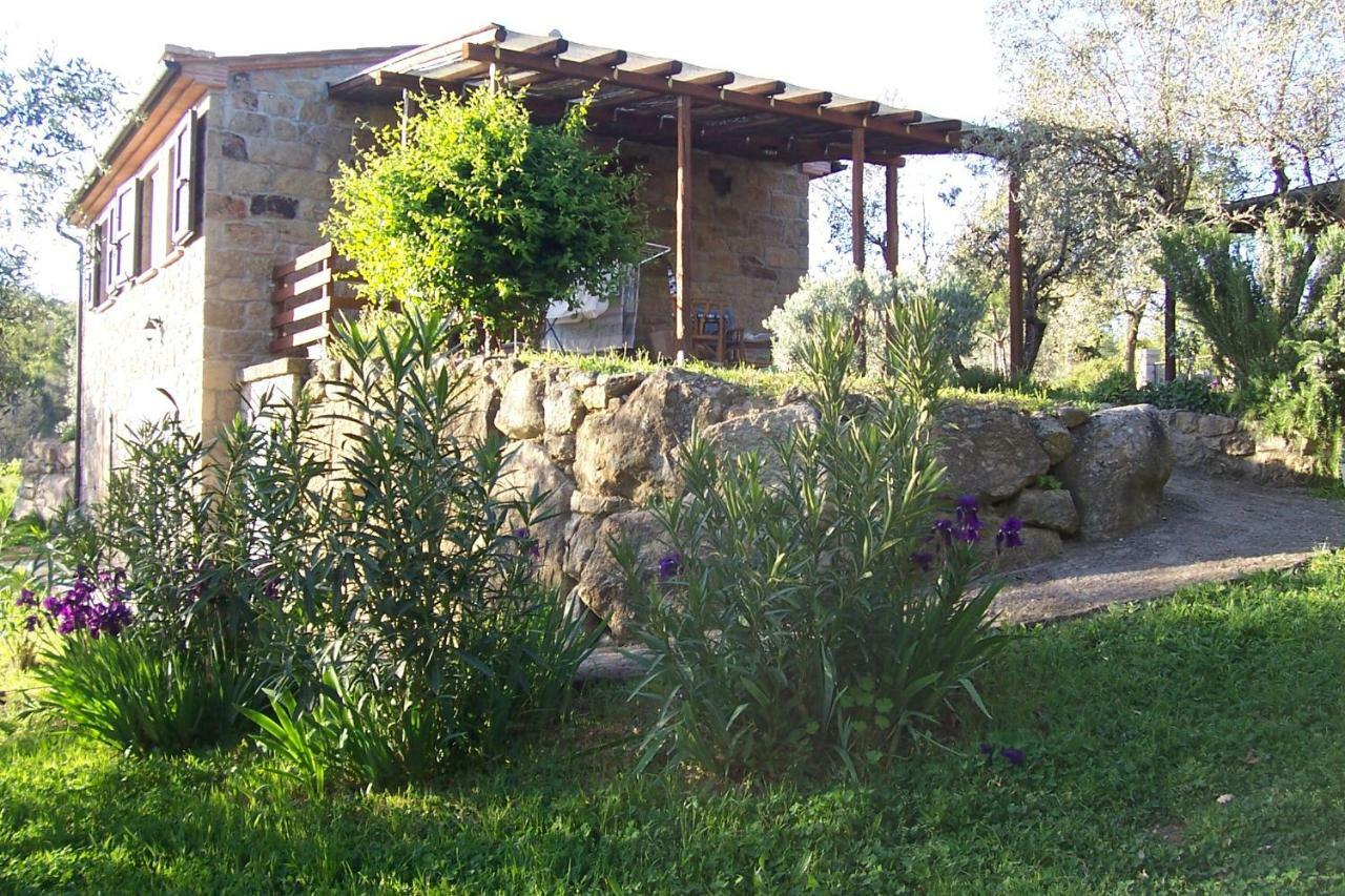 Arnaio Al Giglio Βίλα Roccastrada Εξωτερικό φωτογραφία